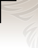 Profilbild Tilde Hermes